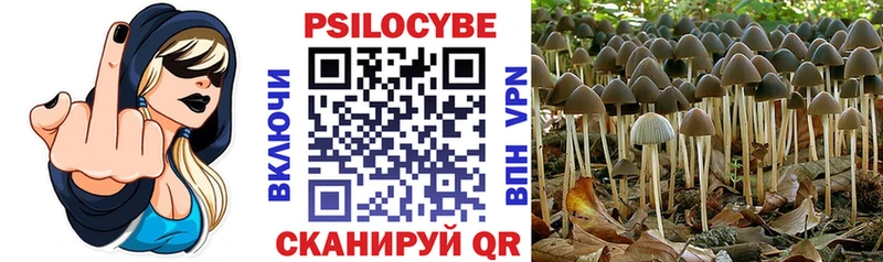 купить закладку  Мурманск  Галлюциногенные грибы прущие грибы 